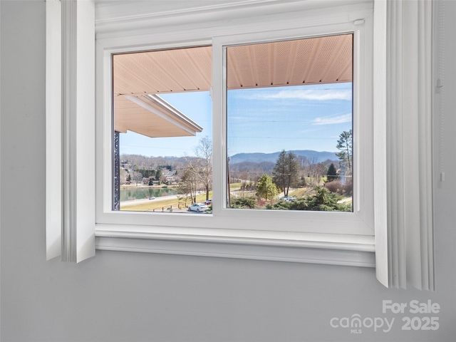 room details featuring a mountain view