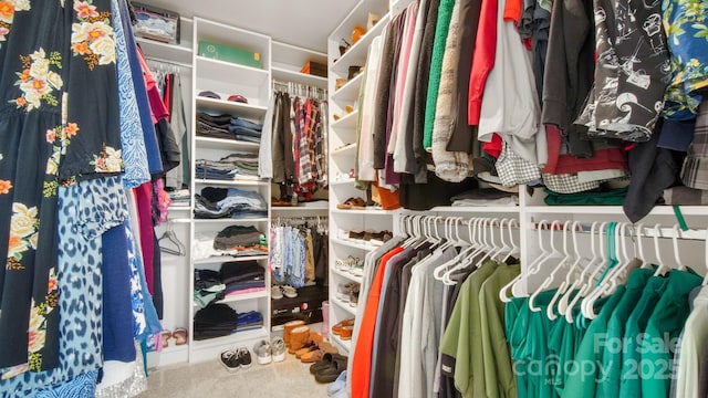 spacious closet featuring carpet floors