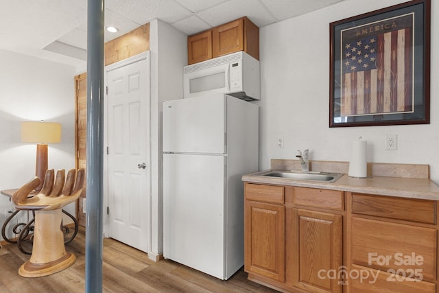 kitchen featuring white appliances, a drop ceiling, a sink, light countertops, and light wood-type flooring