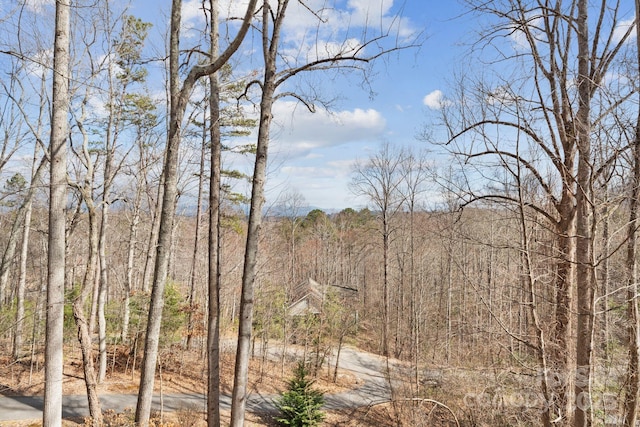 view of local wilderness with a wooded view