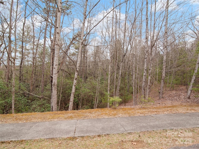 Listing photo 3 for 0 Springhouse Trl Unit 15, Brevard NC 28712