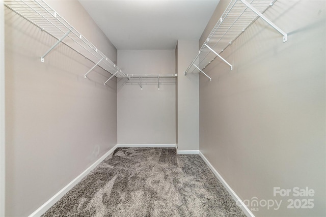 19113 Hawk Haven Ln, Charlotte, NC 28278 - spacious closet with carpet floors