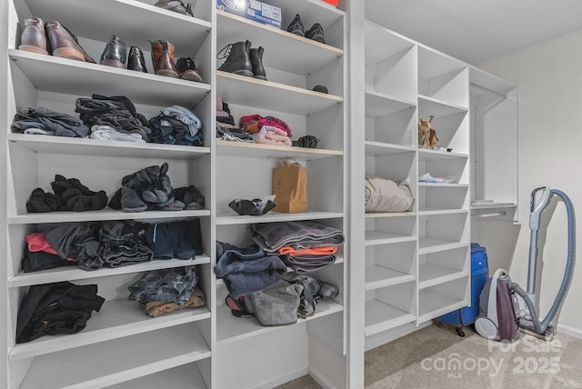 walk in closet with carpet