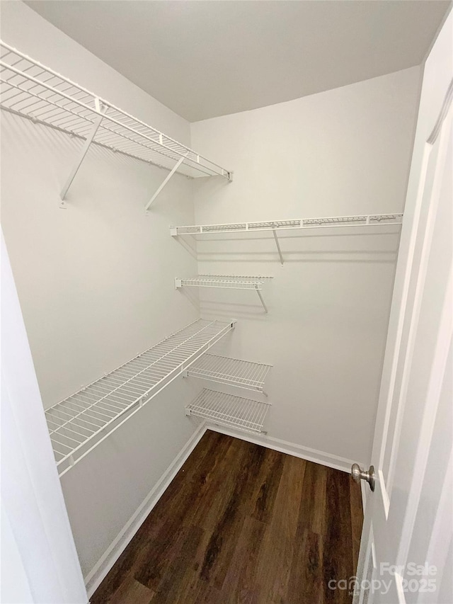 spacious closet with wood finished floors