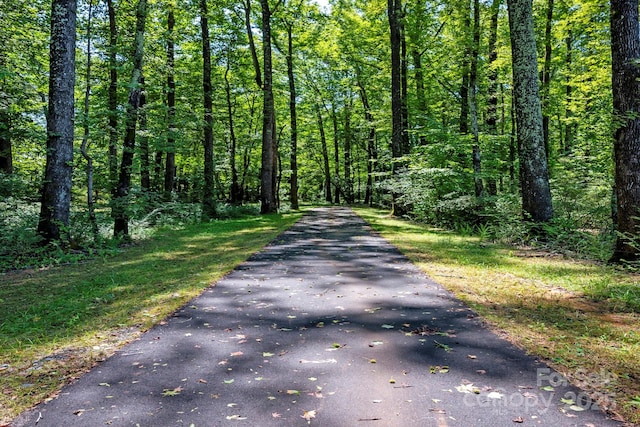 view of road with a forest view