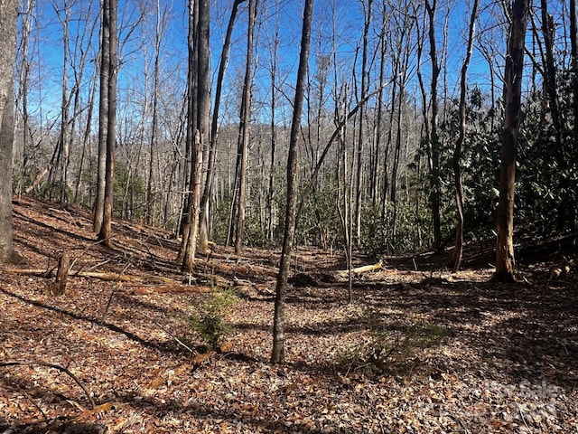 Listing photo 2 for LOT68 Cherrywood Ln, Pisgah Forest NC 28768