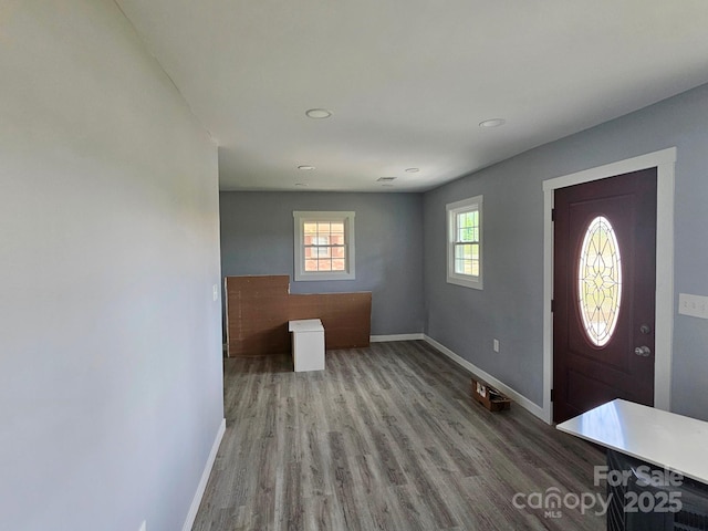 foyer entrance with baseboards and wood finished floors