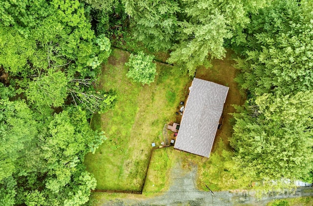 11 Pyrite Way, Asheville, NC 28806 - drone / aerial view