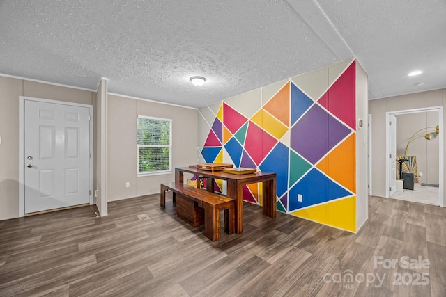 11 Pyrite Way, Asheville, NC 28806 - interior space with an accent wall, wood finished floors, and a textured ceiling