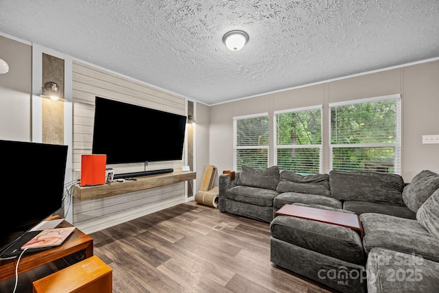11 Pyrite Way, Asheville, NC 28806 - living area with wood finished floors, a textured ceiling, and crown molding