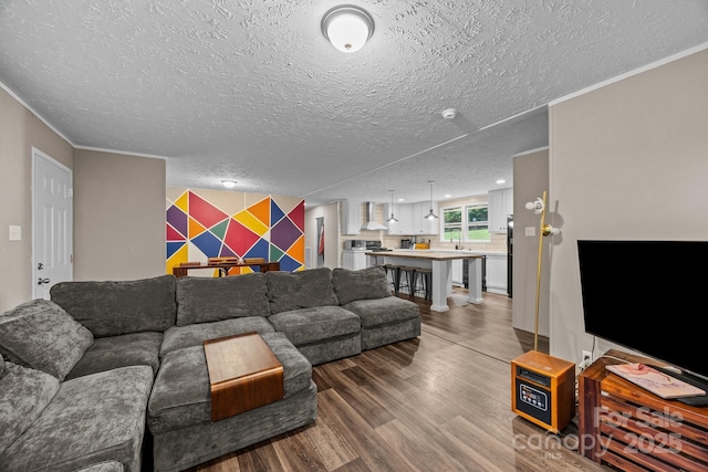 11 Pyrite Way, Asheville, NC 28806 - living area with wood finished floors, a textured ceiling, and crown molding