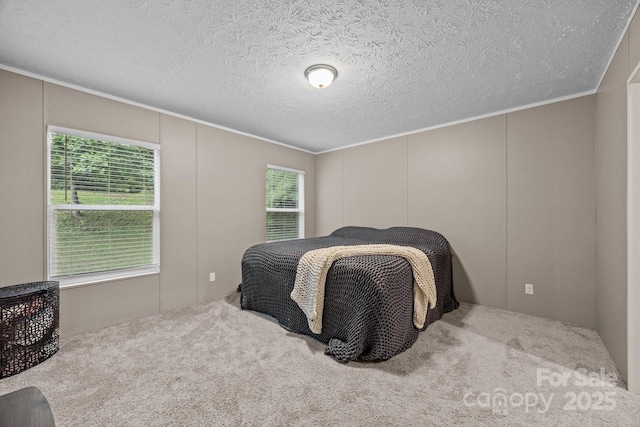 11 Pyrite Way, Asheville, NC 28806 - bedroom with carpet flooring, a decorative wall, and ornamental molding