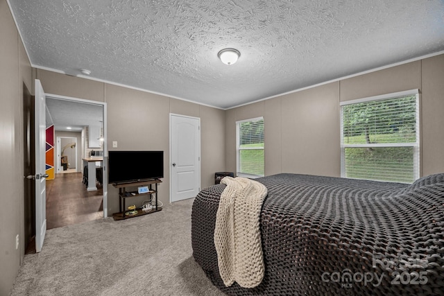 11 Pyrite Way, Asheville, NC 28806 - carpeted bedroom featuring crown molding