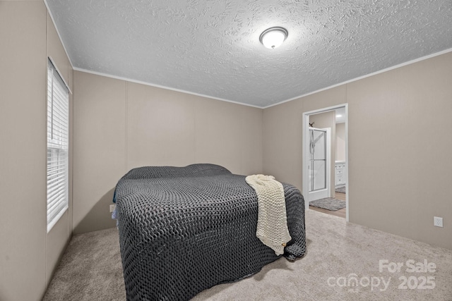 11 Pyrite Way, Asheville, NC 28806 - carpeted bedroom with a textured ceiling and ornamental molding