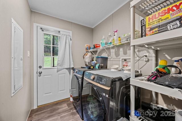 11 Pyrite Way, Asheville, NC 28806 - laundry room with washing machine and dryer and wood finished floors