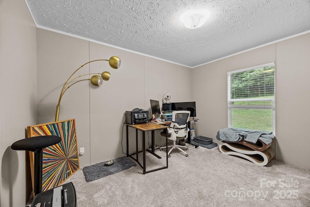 11 Pyrite Way, Asheville, NC 28806 - office featuring ornamental molding, carpet, and a textured ceiling