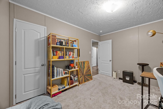 11 Pyrite Way, Asheville, NC 28806 - sitting room featuring ornamental molding, carpet flooring, and a textured ceiling
