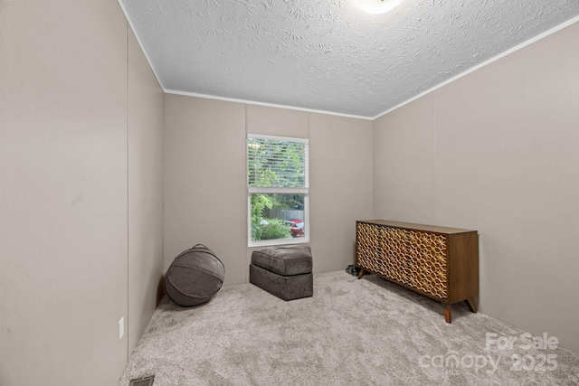 11 Pyrite Way, Asheville, NC 28806 - carpeted bedroom with a textured ceiling and crown molding