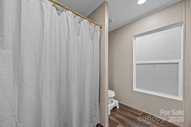 11 Pyrite Way, Asheville, NC 28806 - bathroom featuring toilet, wood finished floors, and a shower with curtain