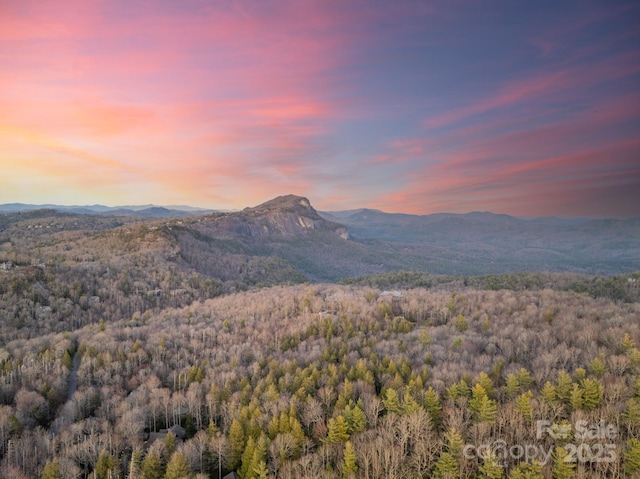 property view of mountains with a forest view