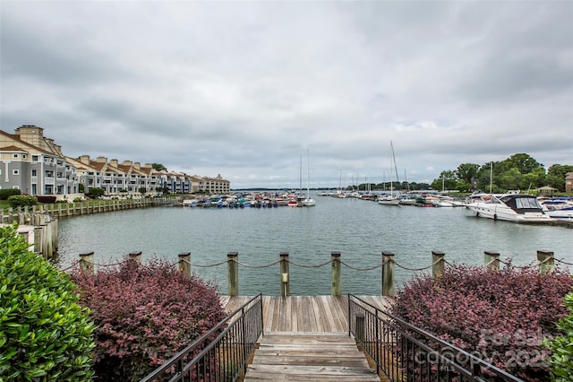 exterior space with a dock