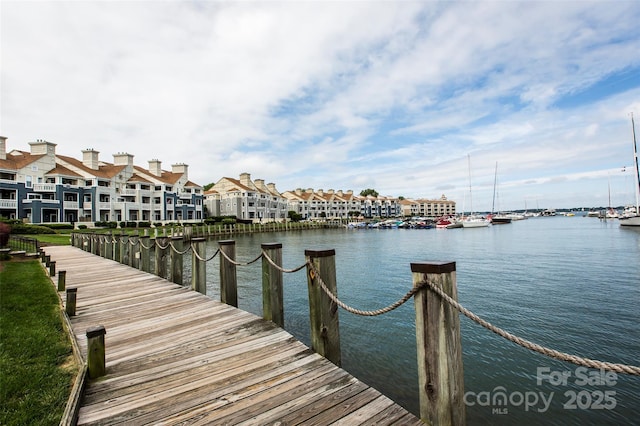 dock area with a water view