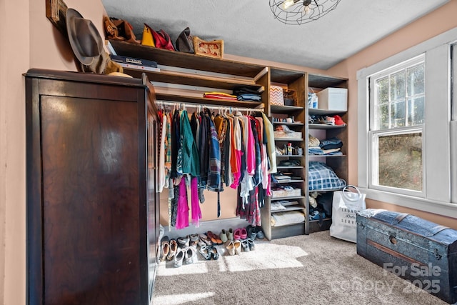 173 Academy St, Canton, NC 28716 - photo 25