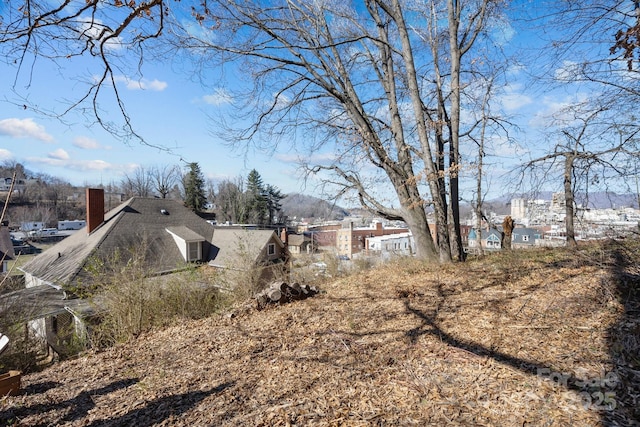 173 Academy St, Canton, NC 28716 - photo 38