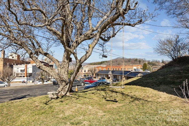 173 Academy St, Canton, NC 28716 - photo 40