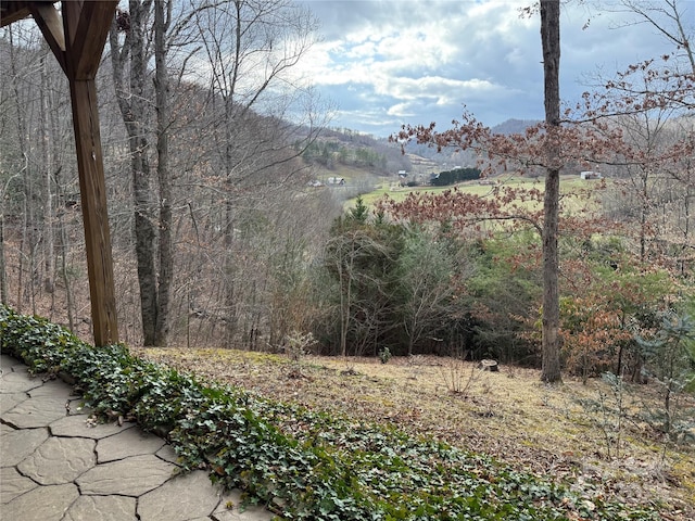 view of yard featuring a wooded view