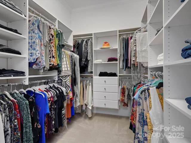 spacious closet with carpet flooring
