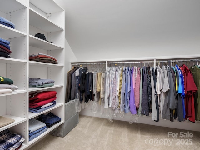 walk in closet with carpet flooring