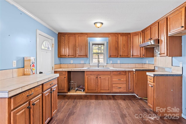 kitchen featuring under cabinet range hood, brown cabinets, and dark wood finished floors