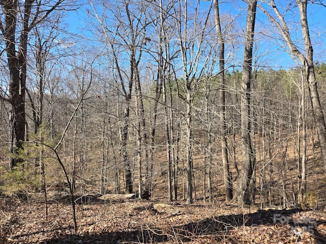 view of nature featuring a view of trees