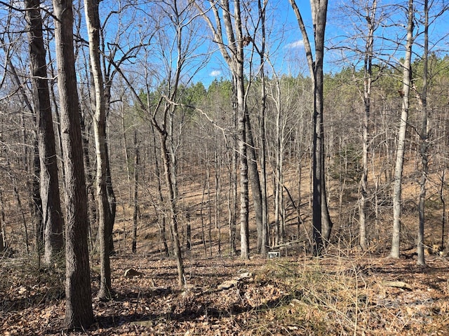 view of local wilderness with a forest view