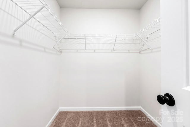 spacious closet with carpet floors