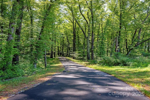 view of street featuring a forest view