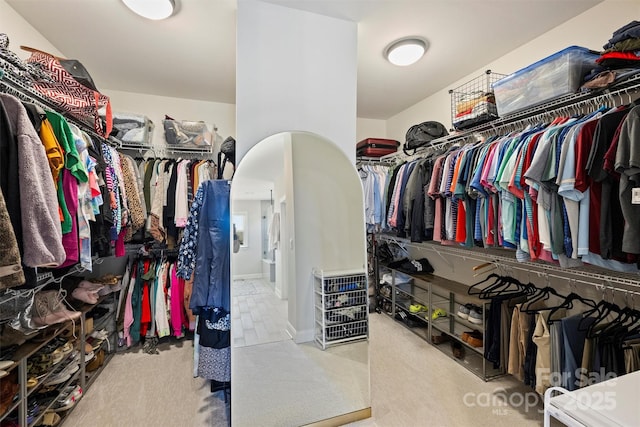 spacious closet featuring carpet
