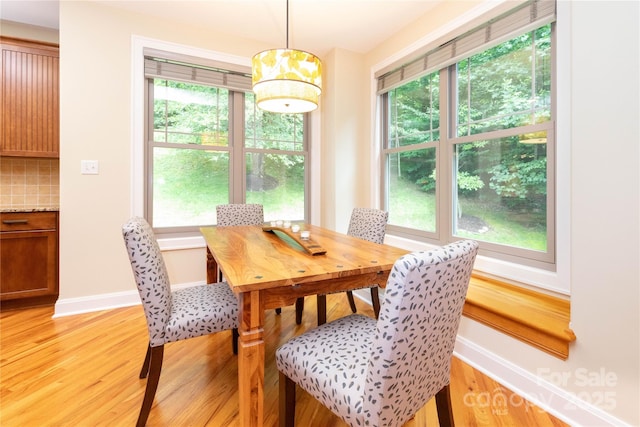 39 Hawks Pointe Ln, Weaverville, NC 28787 - dining space with light wood-type flooring and baseboards