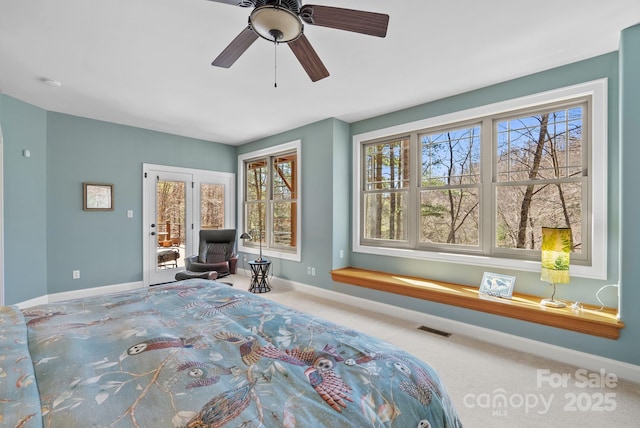 39 Hawks Pointe Ln, Weaverville, NC 28787 - carpeted bedroom with multiple windows, access to exterior, and a ceiling fan