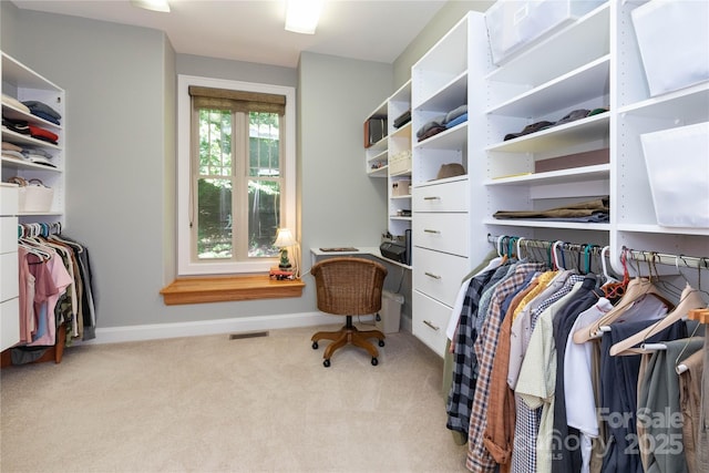 39 Hawks Pointe Ln, Weaverville, NC 28787 - walk in closet with carpet