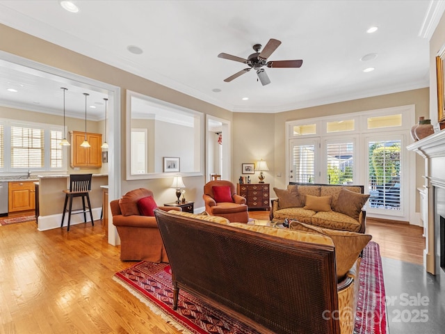 living room featuring a healthy amount of sunlight, light wood finished floors, and a fireplace