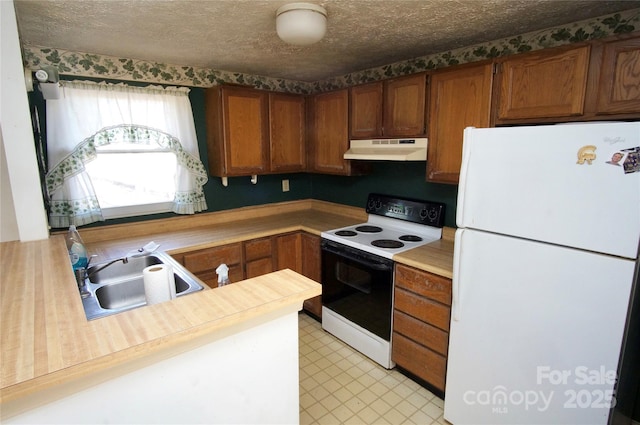 kitchen with a textured ceiling, under cabinet range hood, a sink, electric stove, and freestanding refrigerator