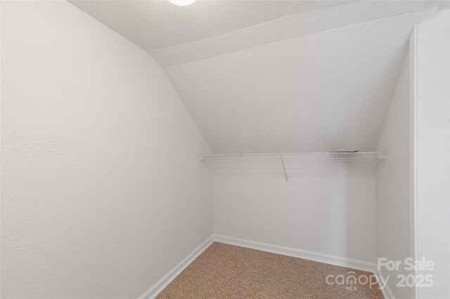 walk in closet with lofted ceiling and light colored carpet