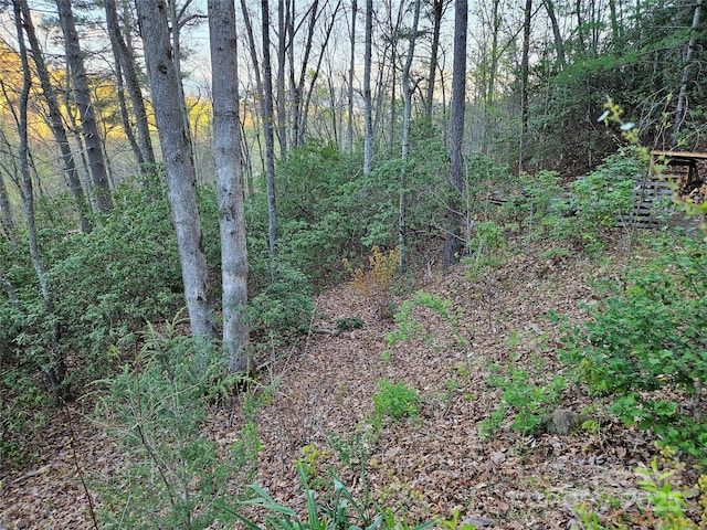 169 Sandalwood Dr, Whittier, NC 28789