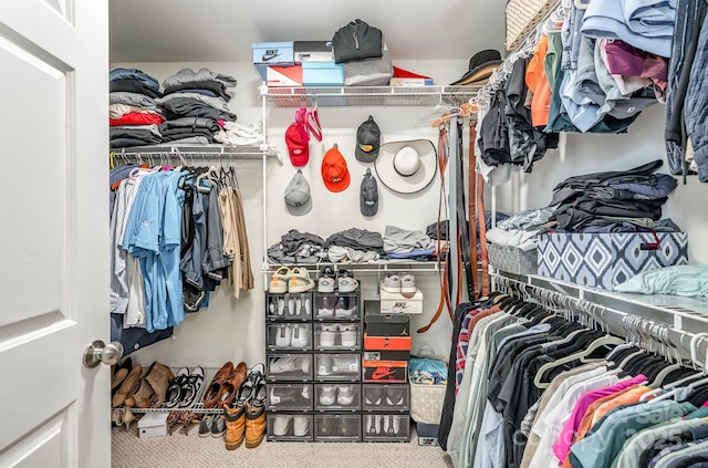 spacious closet with carpet floors