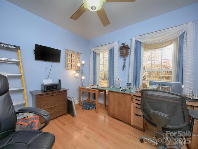 office with a ceiling fan and light wood-type flooring