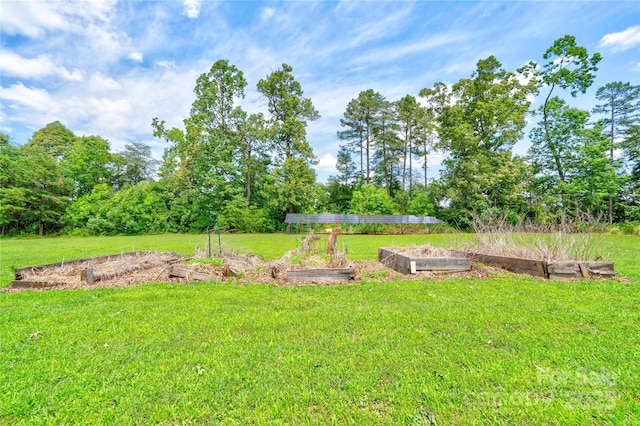 3640 Oak Haven Ln, Shelby, NC 28150 - view of green lawn with a vegetable garden