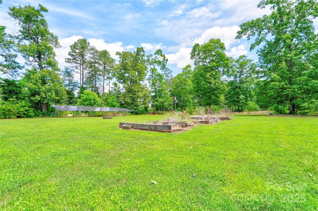 3640 Oak Haven Ln, Shelby, NC 28150 - view of green lawn with a garden
