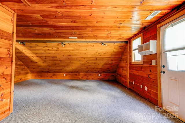 3640 Oak Haven Ln, Shelby, NC 28150 - bonus room with wood ceiling, carpet flooring, and wooden walls